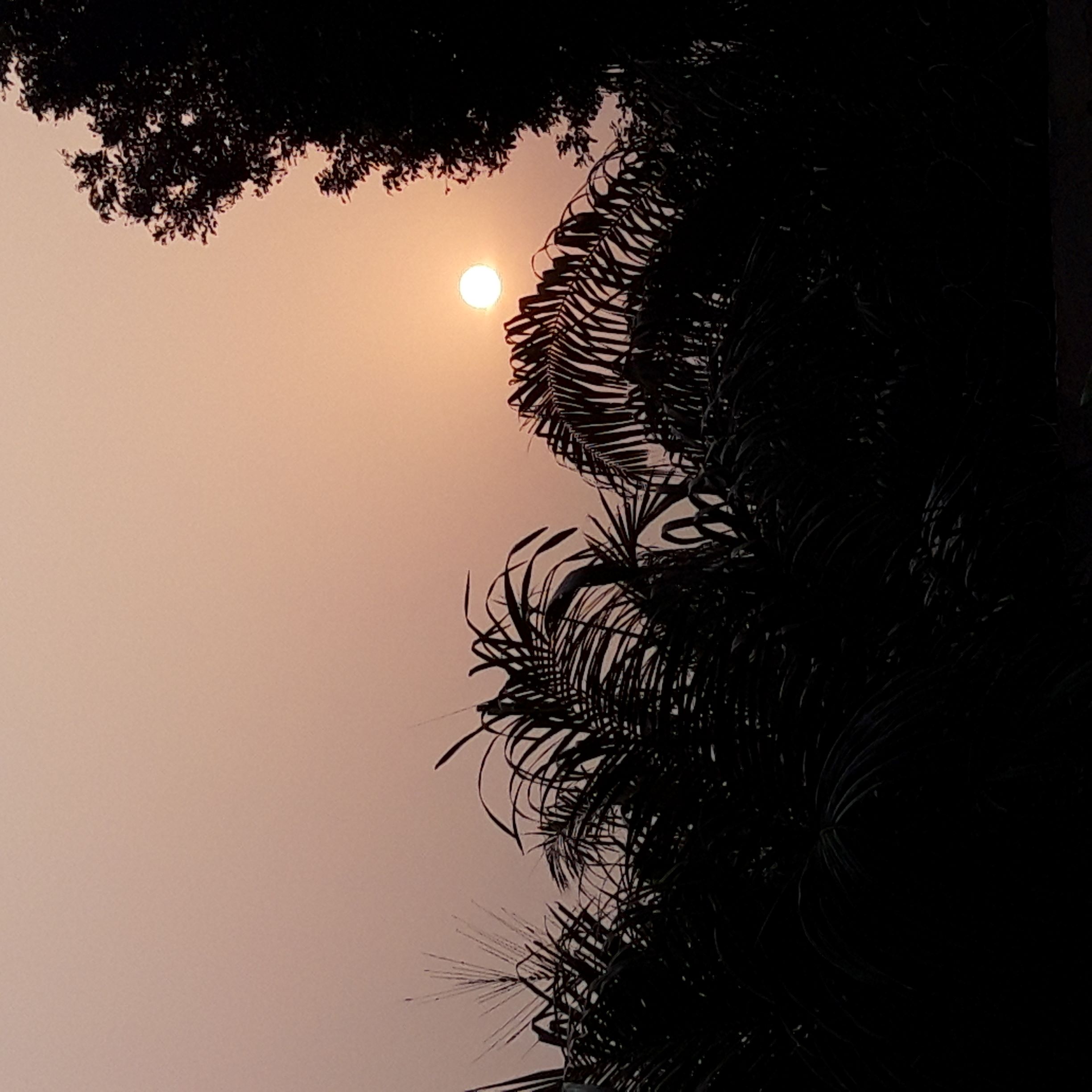 soir