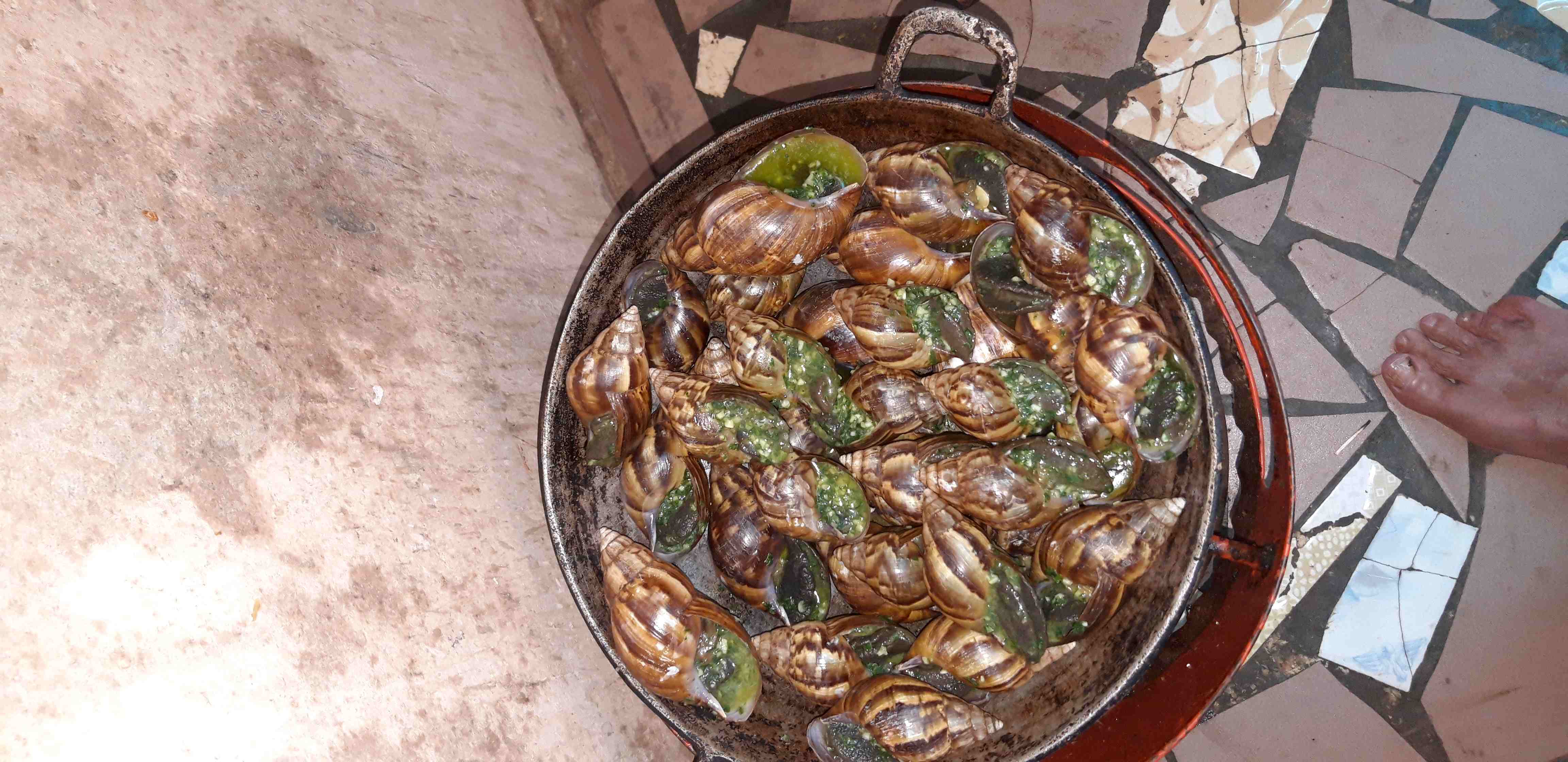 De délicieux escargots