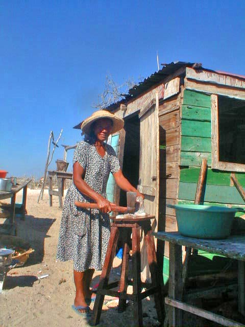 gal1_13