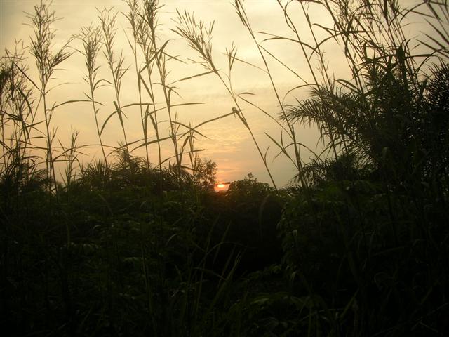 Fongbe Bénin