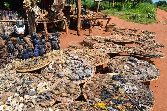 Marché fétiche de Ouidah